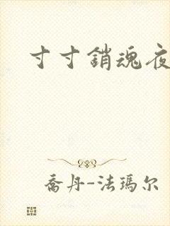 寸寸销魂夜春光