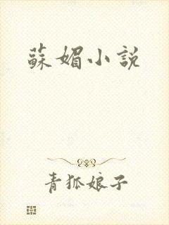 苏媚小说