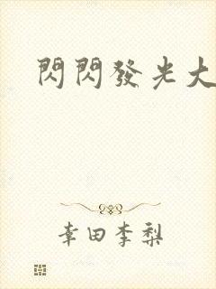 闪闪发光大团结封面