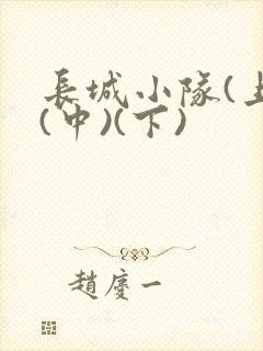 长城小队(上)(中)(下)封面