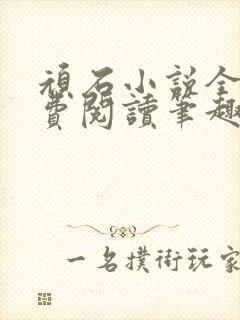 顽石小说全文免费阅读笔趣阁