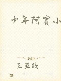 少年阿宾小说