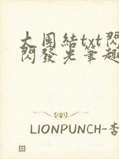 大团结txt闪闪发光笔趣阁