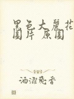 黑色大丽花真实图片 原图