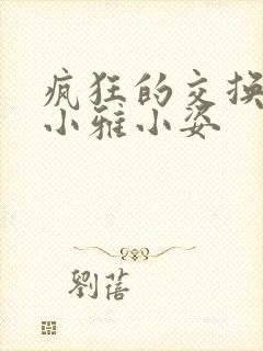 疯狂的交换小静小雅小姿封面