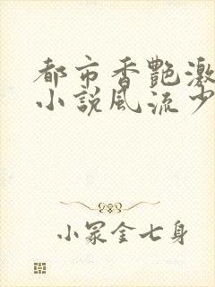 都市香艳激情肉小说风流少年小说封面