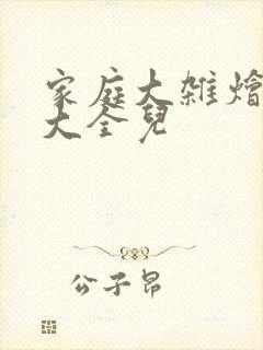 家庭大杂烩小说大全儿