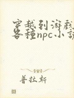 穿越到游戏里和各种npc小说