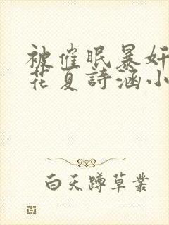 被催眠暴奸的校花夏诗涵小说