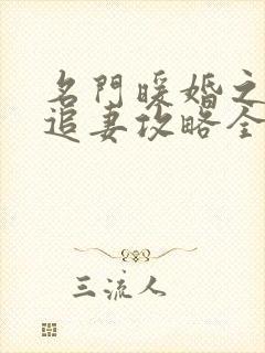 名门暖婚之权爷追妻攻略全文免费阅读封面