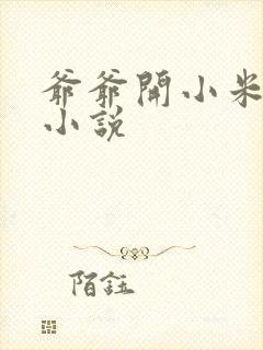 爷爷开小米的包小说