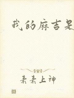 我的麻吉是猴子