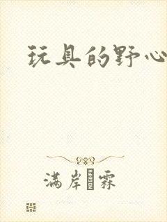 玩具的野心封面