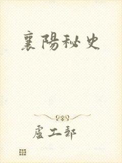 襄阳秘史