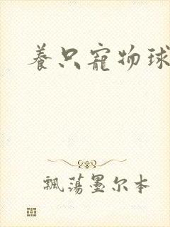 养只宠物球封面