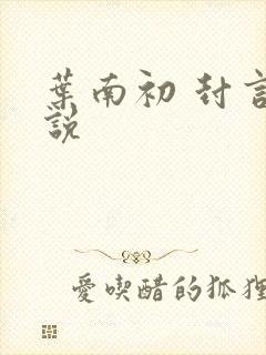 叶南初 封言小说
