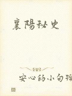 襄阳秘史