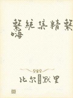 系统集精系统高嗨封面