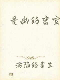 爱幽的密室小说