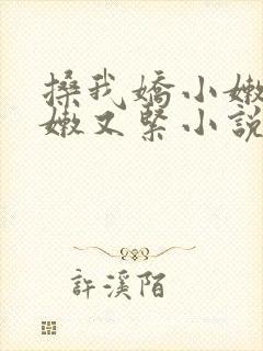 搡我娇小嫩苞又嫩又紧小说封面