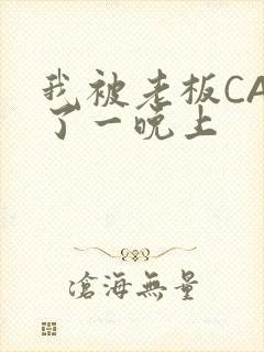 我被老板CAO了一晚上