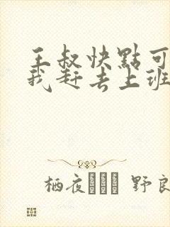 王叔快点可以吗我赶去上班封面