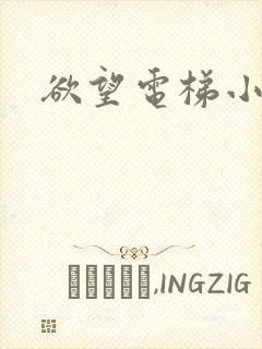 欲望电梯小说封面