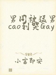 男同被猛男房东cao到哭Gay