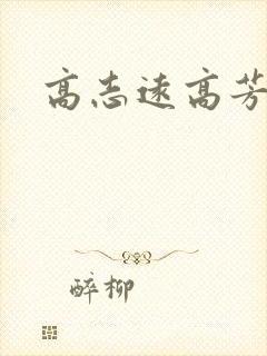 高志远高芳
