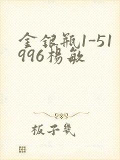 金银瓶1-51996杨敏封面