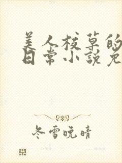 美人校草的堕落日常小说免费封面