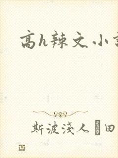 高h辣文小说封面