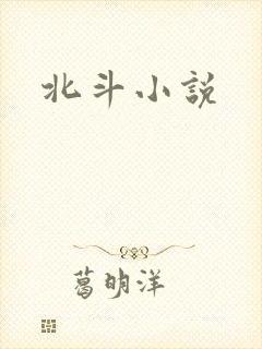 北斗小说