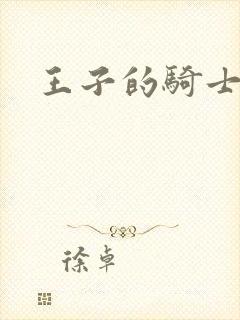 王子的骑士小说封面