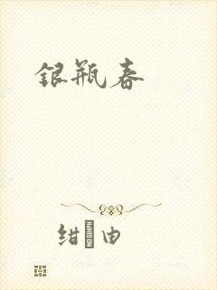 银瓶春封面