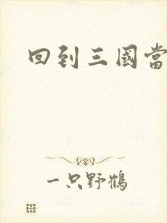 回到三国当军阀封面