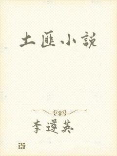 土匪小说