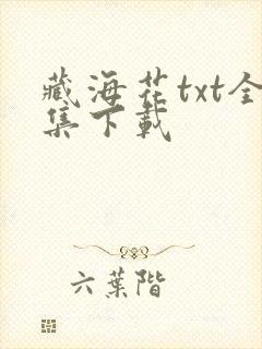 藏海花txt全集下载