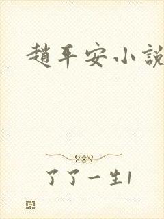 赵平安小说主角封面