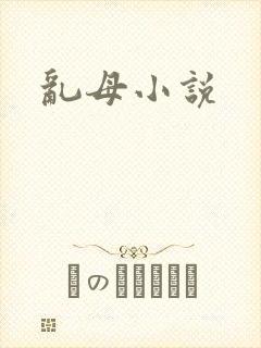 乱母小说