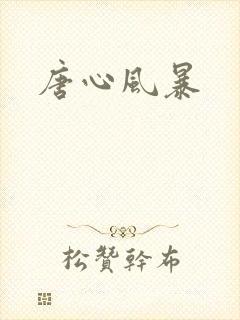 唐心风暴