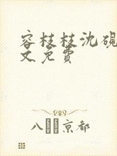 容枝枝沈砚书全文免费