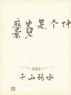 历史是个什么玩意儿封面