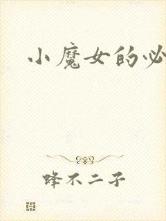 小魔女的必杀技封面