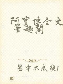 阿宾传全文阅读 笔趣阁