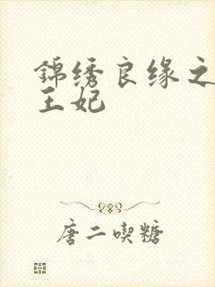 锦绣良缘之北地王妃封面