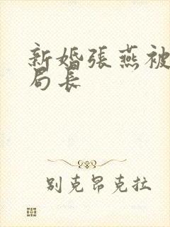 新婚张燕被两个局长封面