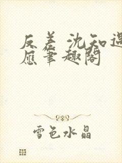 反差 沈知遇晏应笔趣阁