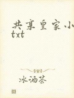 共享皇家小公主txt