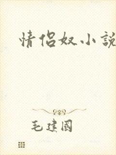 情侣奴小说封面